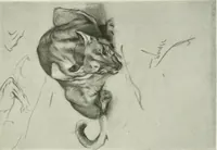 An illustration from International studio (1897)