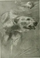 Picture 96 of 345 from International studio (1897), leaf 121