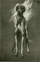 An illustration from International studio (1897)