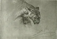 An illustration from International studio (1897)