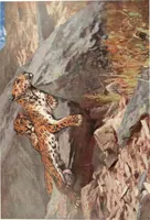 An illustration from International studio (1897)