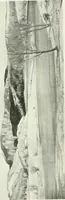 An illustration from International studio (1897)
