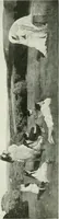 Picture 124 of 345 from International studio (1897), leaf 154