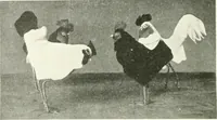 An illustration from International studio (1897)