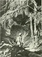 Picture 259 of 345 from International studio (1897), leaf 285