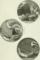 An illustration from International studio (1897)