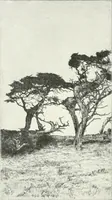 Picture 116 of 356 from International studio (1897), leaf 135