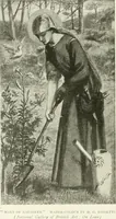 Picture 136 of 356 from International studio (1897), leaf 157