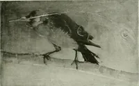 An illustration from International studio (1897)