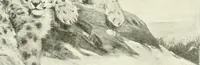 An illustration from International studio (1897)