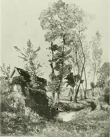 An illustration from International studio (1897)