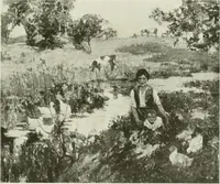 An illustration from International studio (1897)