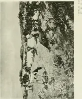 Picture 288 of 356 from International studio (1897), leaf 298
