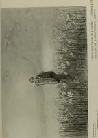 An illustration from International studio (1897)