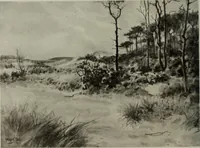 Picture 265 of 295 from International studio (1897), leaf 297
