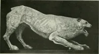 An illustration from International studio (1897)