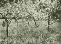 An illustration from International studio (1897)