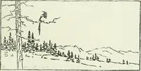 Picture 17 of 247 from International studio (1897), leaf 30
