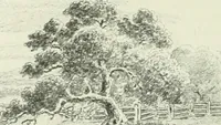 Picture 34 of 247 from International studio (1897), leaf 55