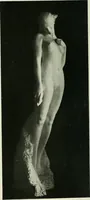 Picture 62 of 247 from International studio (1897), leaf 83