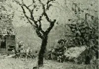 Picture 71 of 247 from International studio (1897), leaf 93