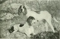 An illustration from International studio (1897)