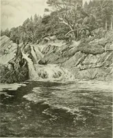 Picture 96 of 288 from International studio (1897), leaf 100