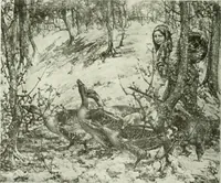 Picture 120 of 288 from International studio (1897), leaf 125