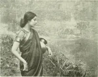 Picture 161 of 288 from International studio (1897), leaf 165