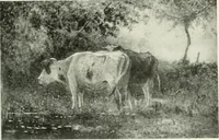 Picture 213 of 288 from International studio (1897), leaf 228