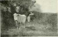 An illustration from International studio (1897)