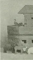 Picture 217 of 288 from International studio (1897), leaf 233