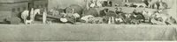 Picture 220 of 288 from International studio (1897), leaf 234