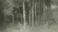 An illustration from International studio (1897)