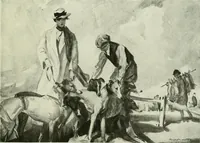 Picture 99 of 259 from International studio (1897), leaf 116