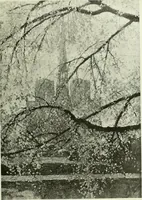 Picture 104 of 259 from International studio (1897), leaf 120