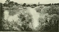 Picture 118 of 259 from International studio (1897), leaf 134