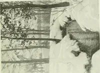 Picture 135 of 259 from International studio (1897), leaf 152