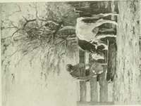 Picture 136 of 259 from International studio (1897), leaf 152