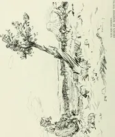 Picture 195 of 259 from International studio (1897), leaf 207