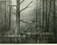An illustration from International studio (1897)