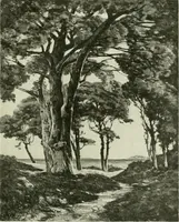 Picture 41 of 259 from International studio (1897), leaf 54