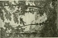 An illustration from International studio (1897)