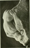 Picture 58 of 259 from International studio (1897), leaf 71