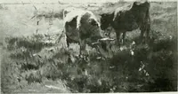 An illustration from International studio (1897)