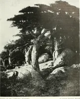 An illustration from International studio (1897)