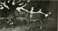 An illustration from International studio (1897)