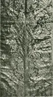 Picture 71 of 229 from International studio (1897), leaf 100