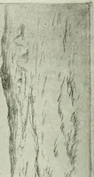 An illustration from International studio (1897)