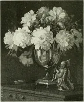 An illustration from International studio (1897)
